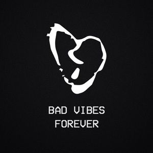 Meet your Posher, Gavin